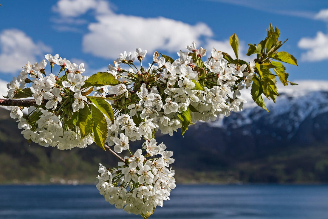 Best time to visit Norway